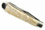 Pocket Knife With Lace Agate Inlays & Matching Base #337600-1